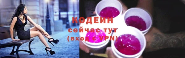 ГАЛЛЮЦИНОГЕННЫЕ ГРИБЫ Абаза