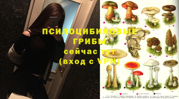 прущие грибы Алзамай