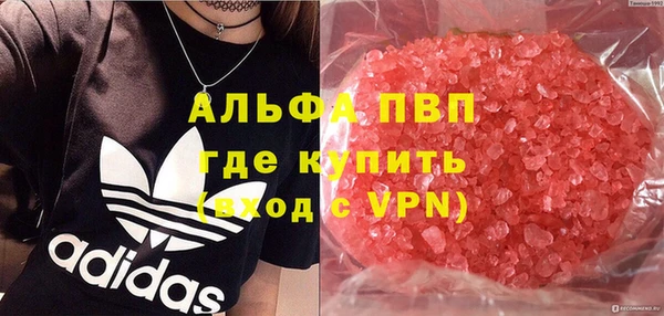 прущие грибы Алексин