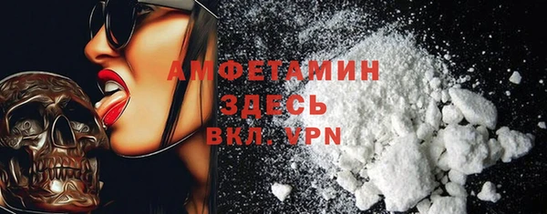 прущие грибы Алзамай