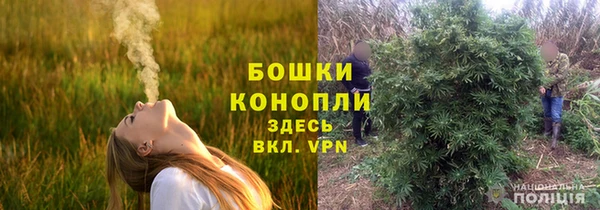 сатива Осинники