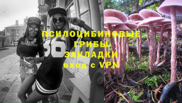 гидропоника Осташков