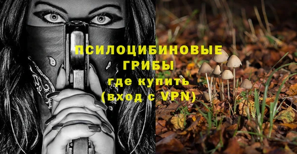 прущие грибы Алексин