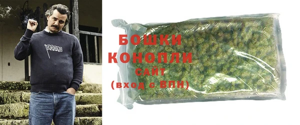 ГАЛЛЮЦИНОГЕННЫЕ ГРИБЫ Абаза